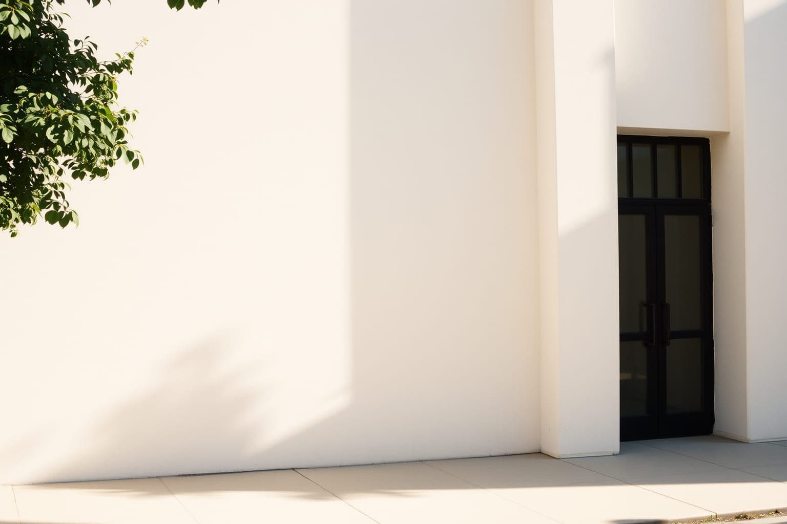 Leaf shadows falling across a pale concrete wall beside a dark window.